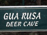 00396-2050 Deer Cave Sign